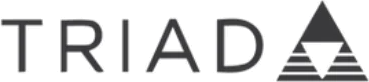 Triad - Custom installation speakers Triad - Custom installation speakers