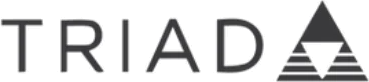 Triad - Custom installation speakers Triad - Custom installation speakers